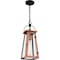Quoizel Carolina Outdoor Hanging 1 Light Aged Copper CLN1907AC - alternate 3